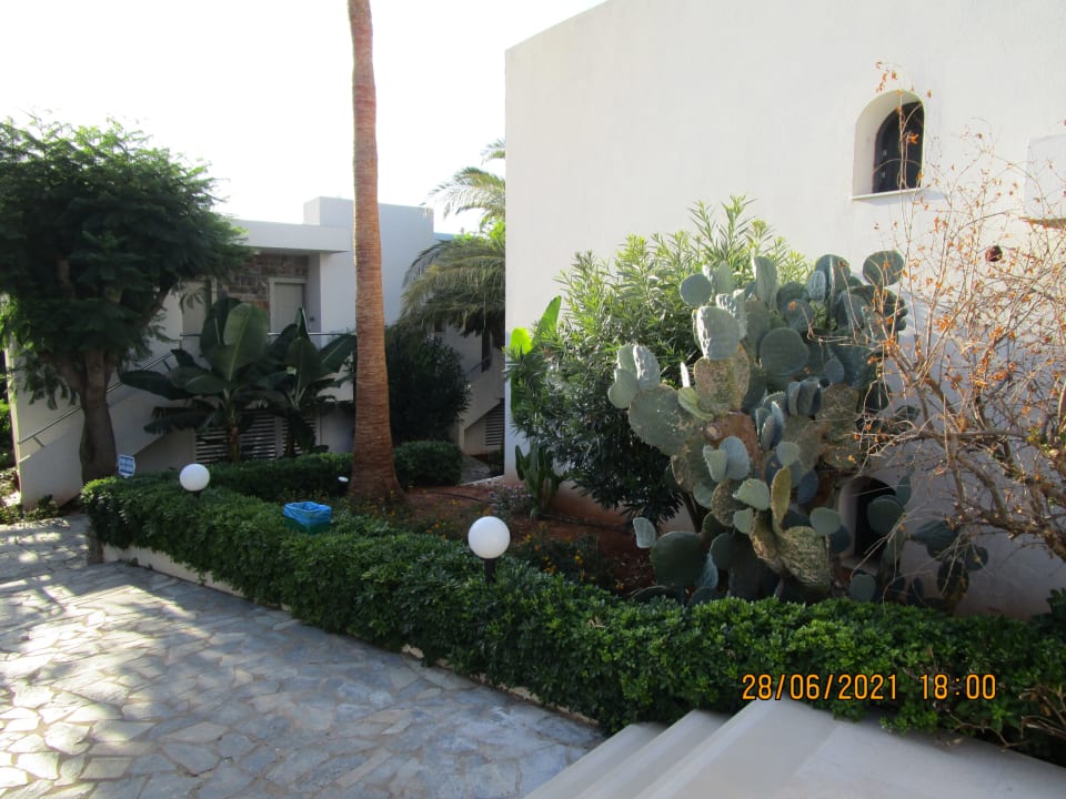 Gartenanlage Sentido Kyknos Beach Adults Only 16+