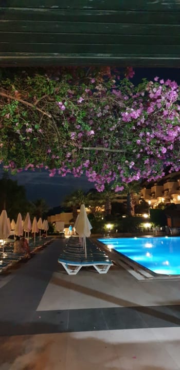 Pool Labranda Mares Marmaris