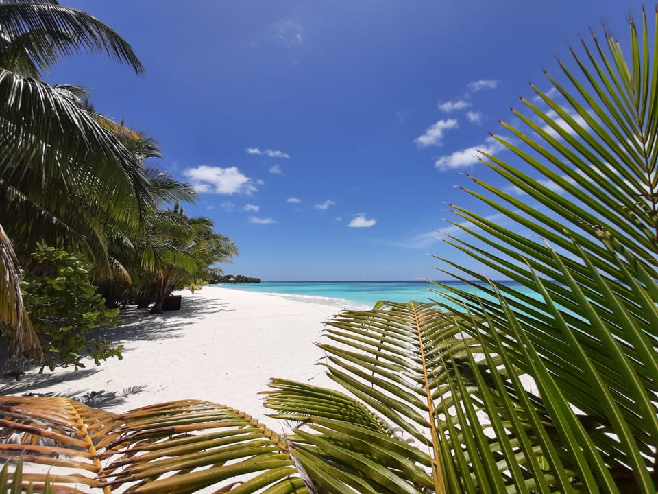 Strand Filitheyo Island Resort