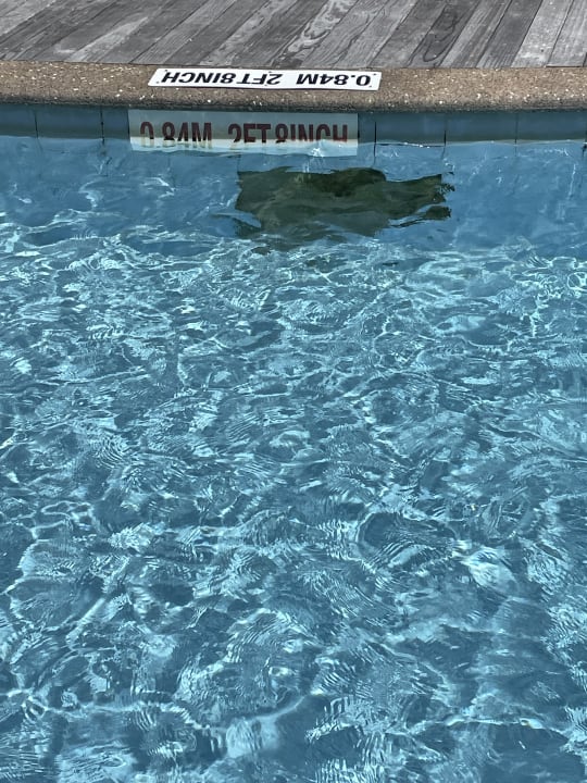 Pool Fisherman's Cove Resort  (Im Umbau/Renovierung)