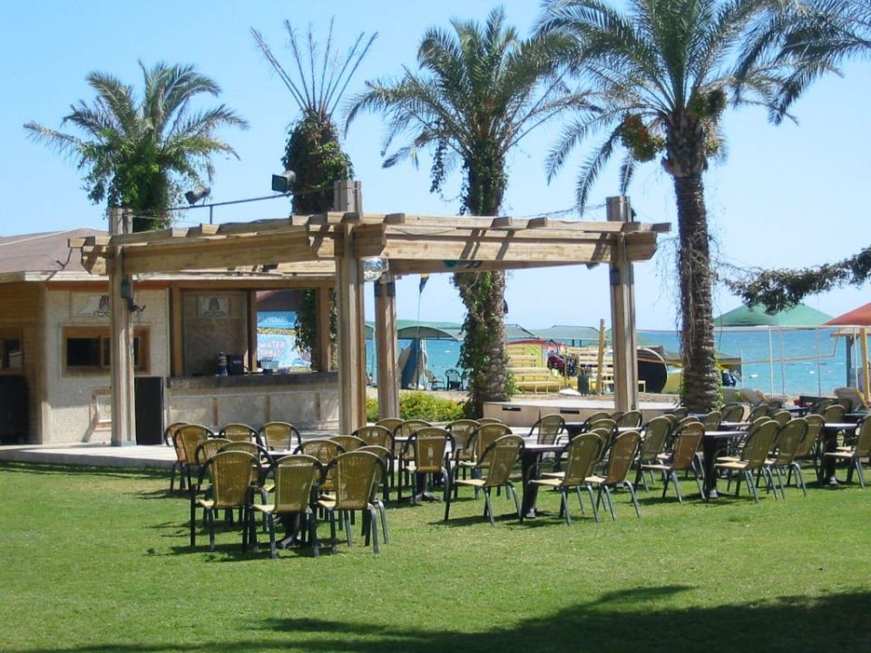 Freiluft Disco Papillon Ayscha