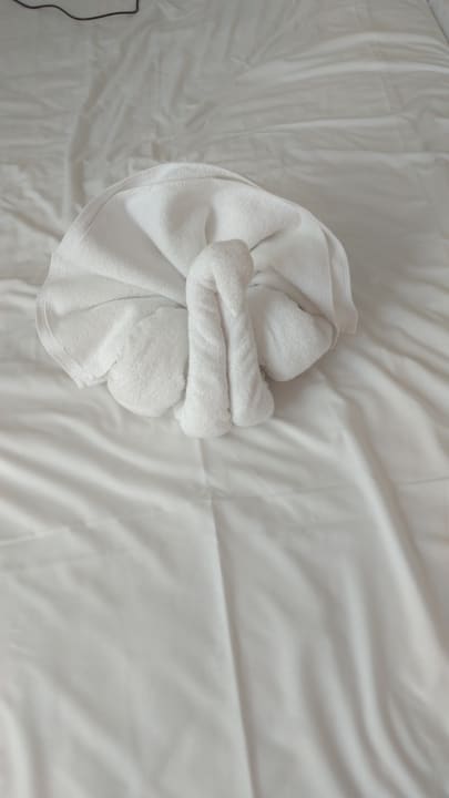 Zimmer Hotel Mena Palace