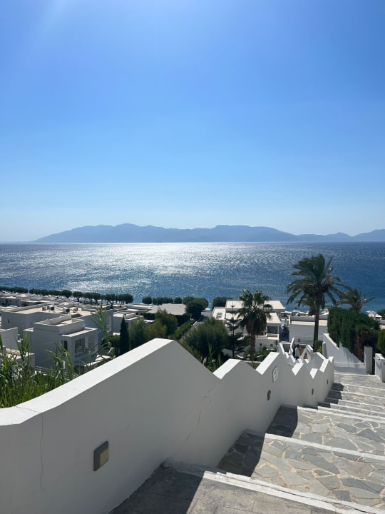 Ausblick Dimitra Beach Hotel & Suites