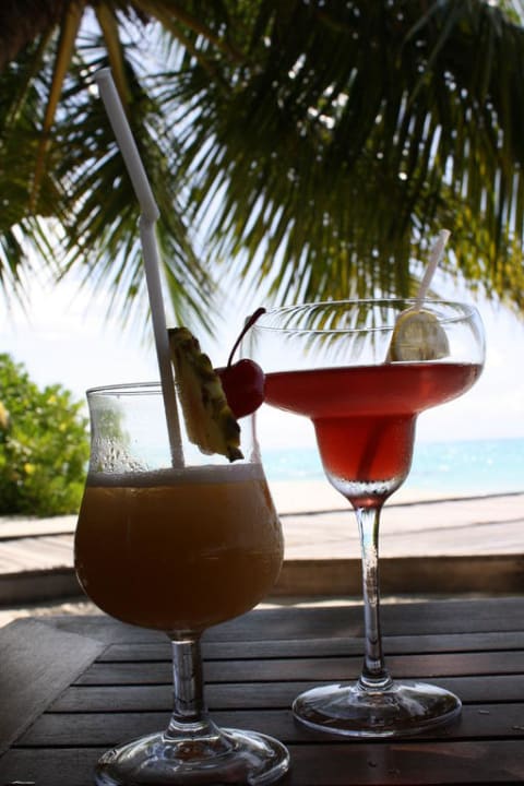 Cocktails unter Palmen Kuramathi Maldives