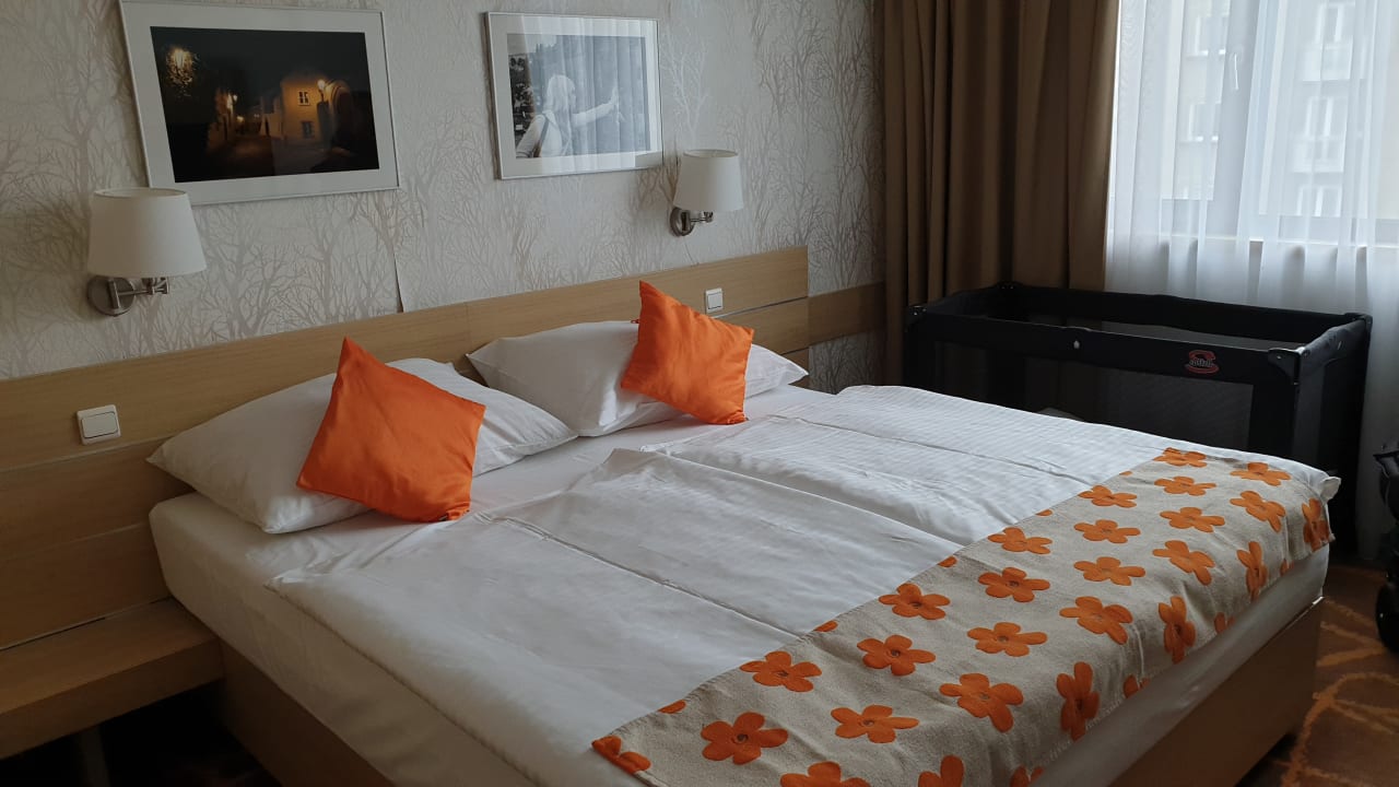 Zimmer Iris Hotel Eden
