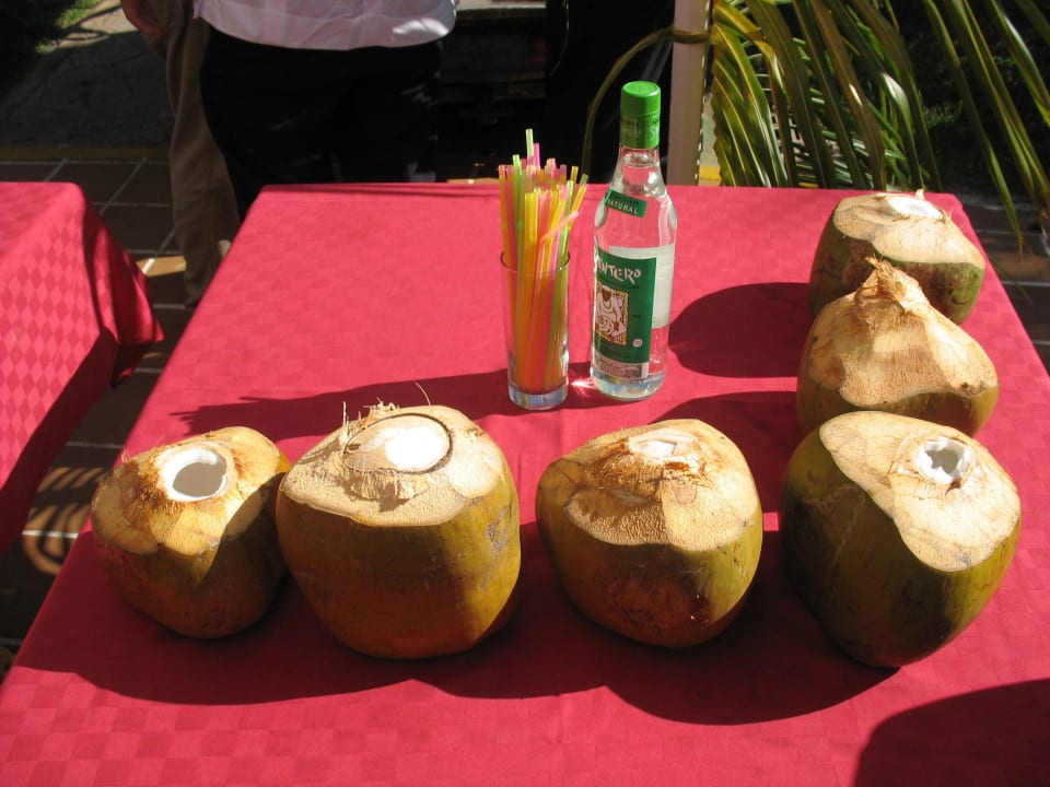 Kuba Tag mit Cocktail Blau varadero - Adults only