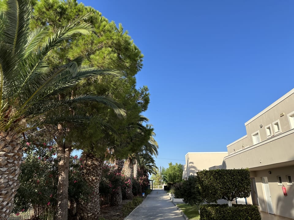 Gartenanlage Hotel Esperia