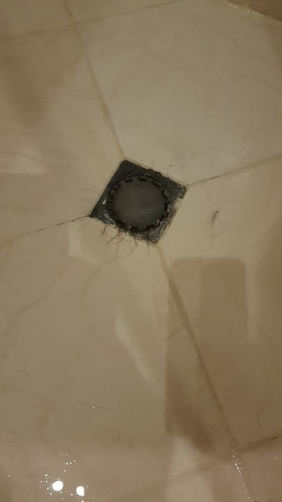 Zimmer Effect Grand Victoria Hotel