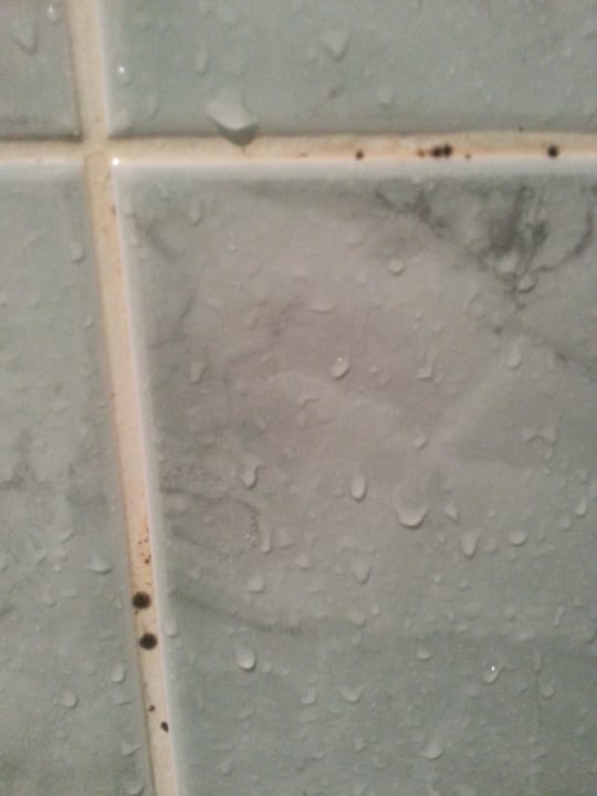 Unsere Dusche mit Schimmel DAS Club Hotel Sunny Beach