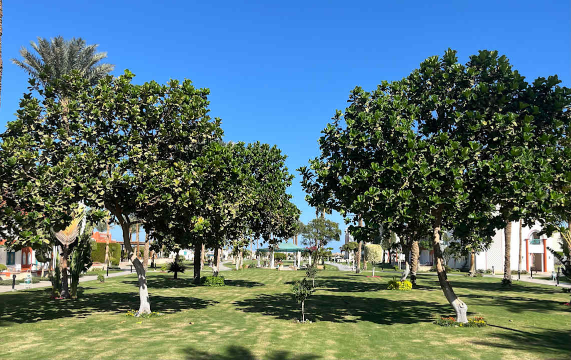 Gartenanlage Sentido Mamlouk Palace Resort