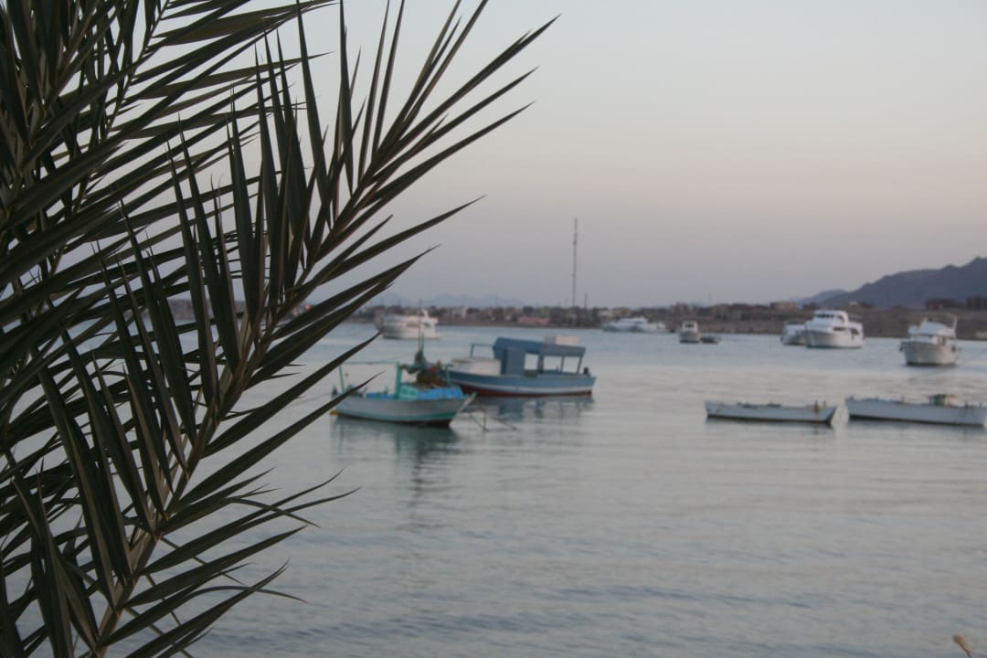 Ausblick Eagles Paradise Abu Soma