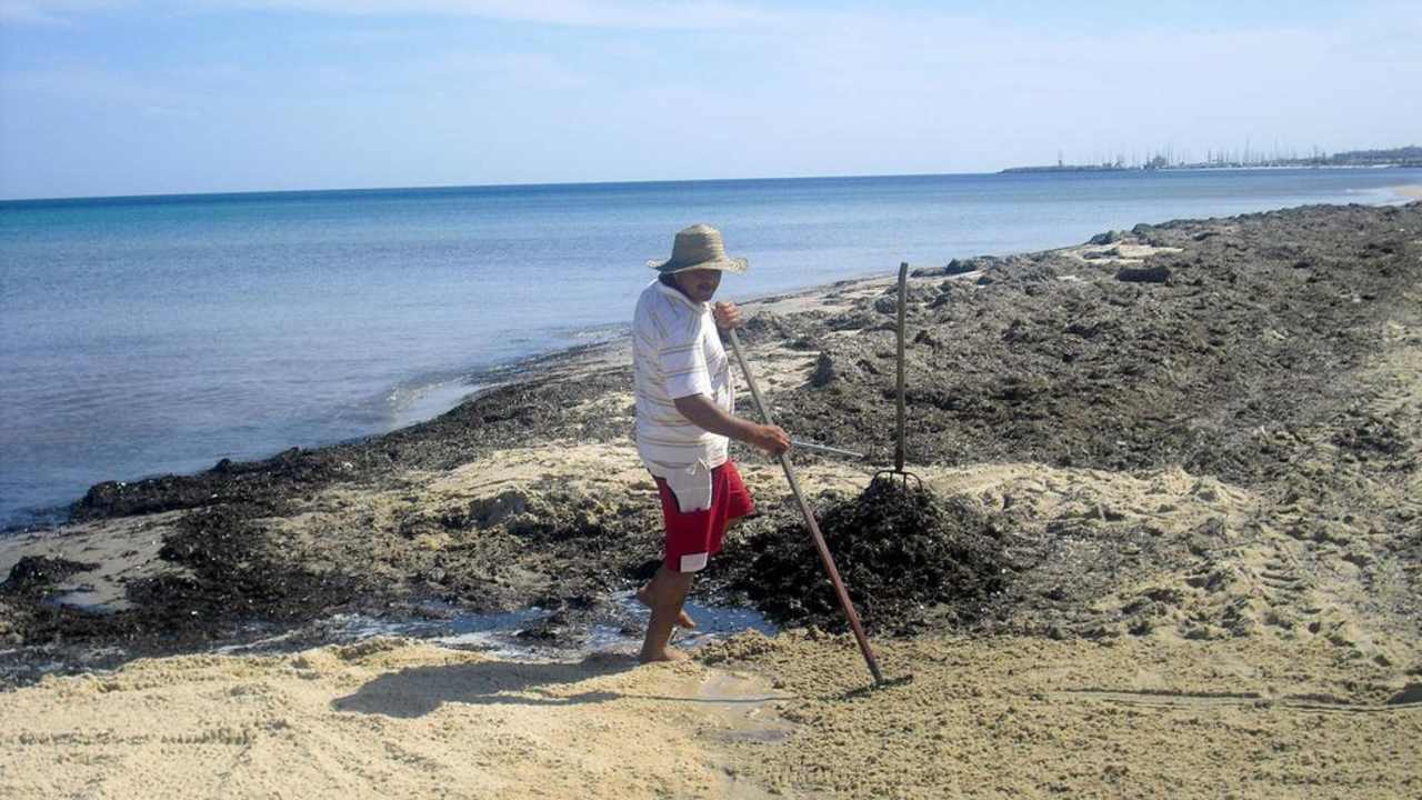 Strandwart Nuri bei der Arbeit Hotel Paradis Palace