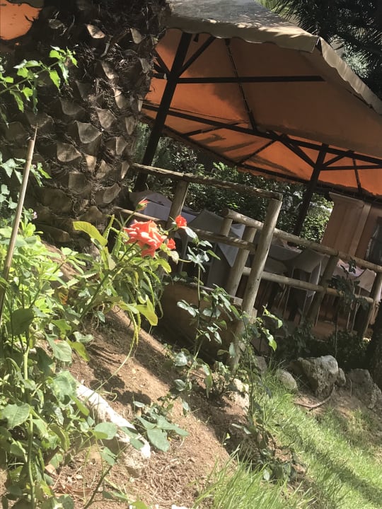 Gastro Lago Garden
