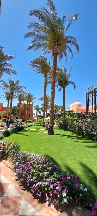 Außenansicht Jaz Makadi Oasis Resort