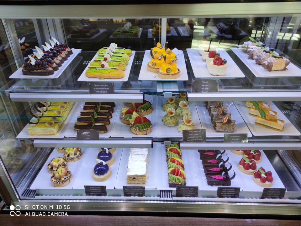 Gastro Acanthus Cennet Barut Collection