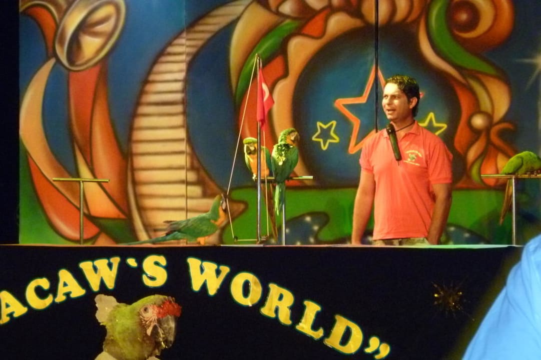 Abendshow Arcanus Hotels Sorgun