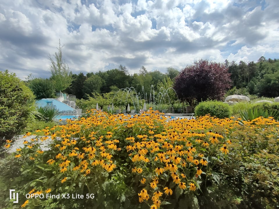 Außenansicht Gartenhotel Moser