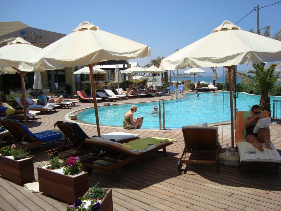 Fine swiming pools Pearl Beach