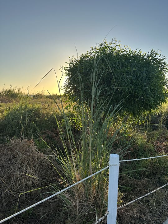 Gartenanlage Anemos Luxury Grand Resort