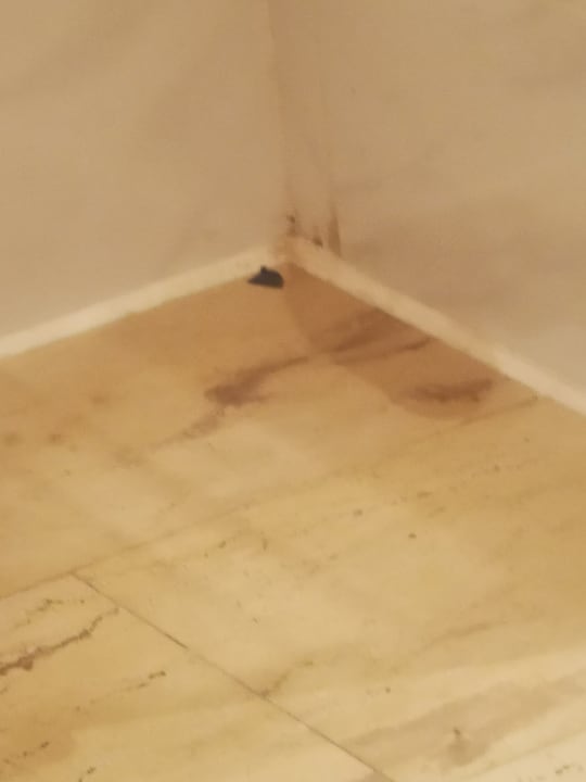 Sonstiges Mövenpick Resort & Spa El Gouna