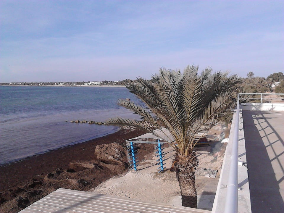 Aussicht Hotel El Mouradi Djerba Menzel