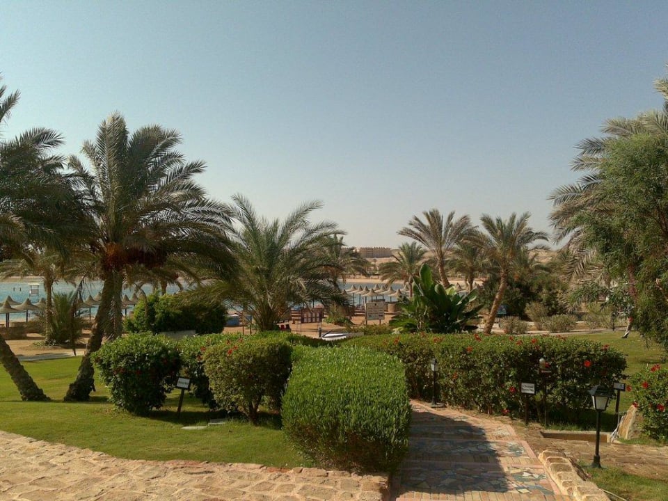 Weg zum Strand Steigenberger Coraya Beach - Adults only