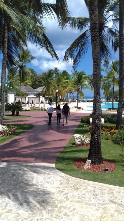 Pool Dreams La Romana Resort & Spa