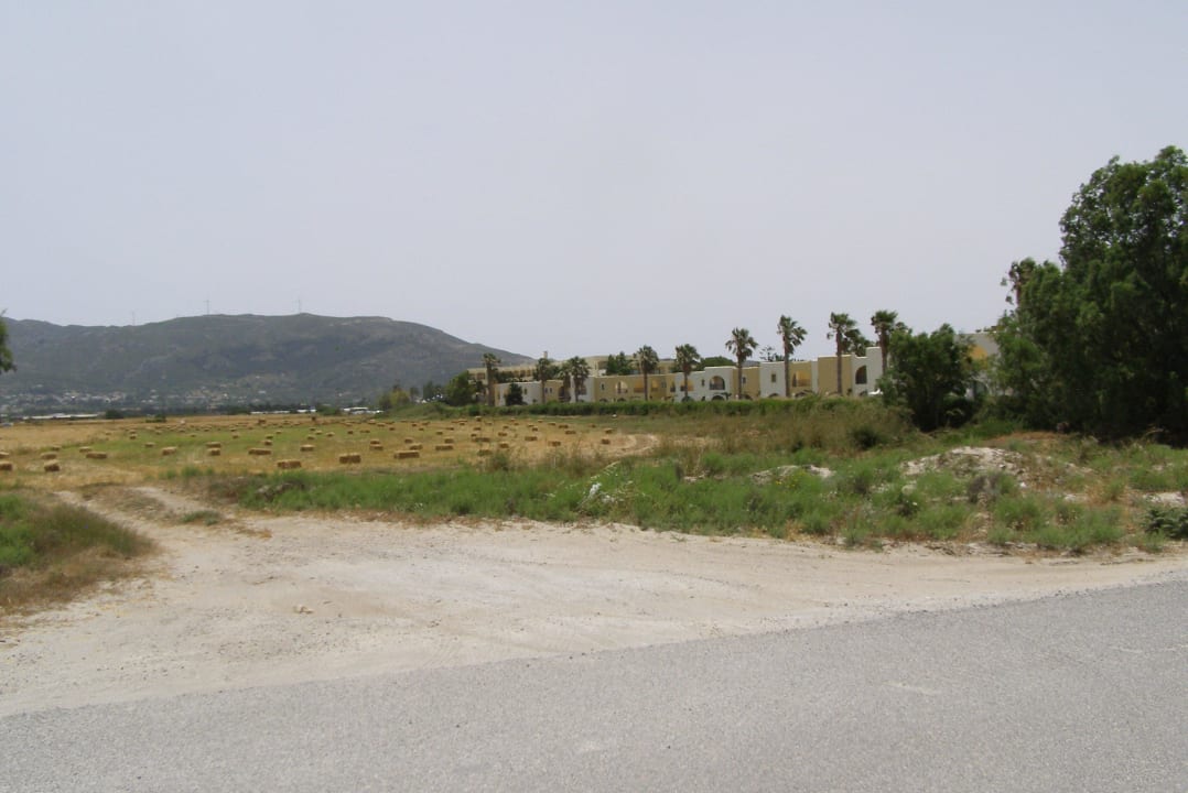 Wenn man genau hinsieht, erkannt man Urlaubskühe Grecotel Casa Paradiso