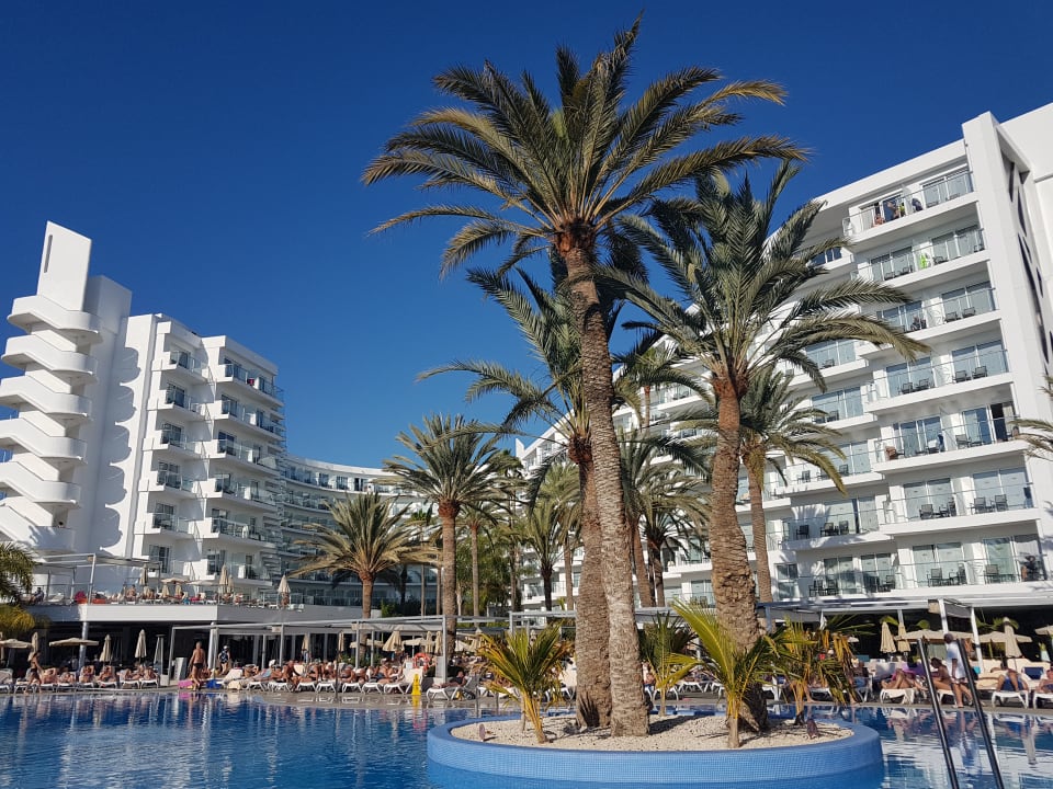 Pool Hotel Riu Papayas