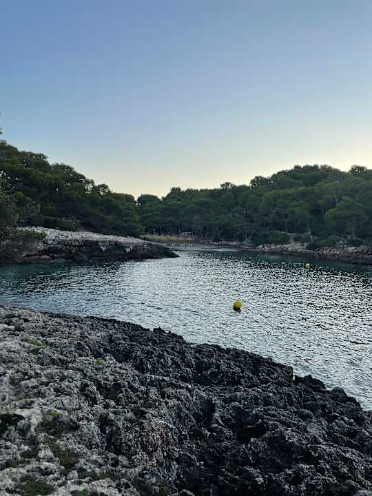 Strand Iberostar Waves Club Cala Barca