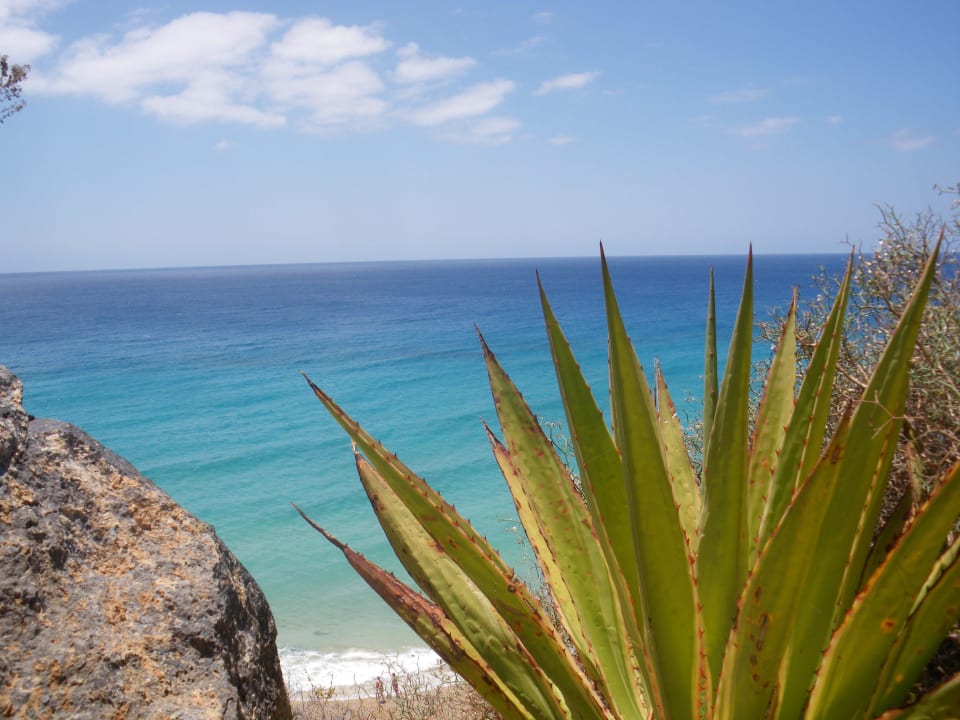 Blick auf den Atlantik TUI MAGIC LIFE Fuerteventura