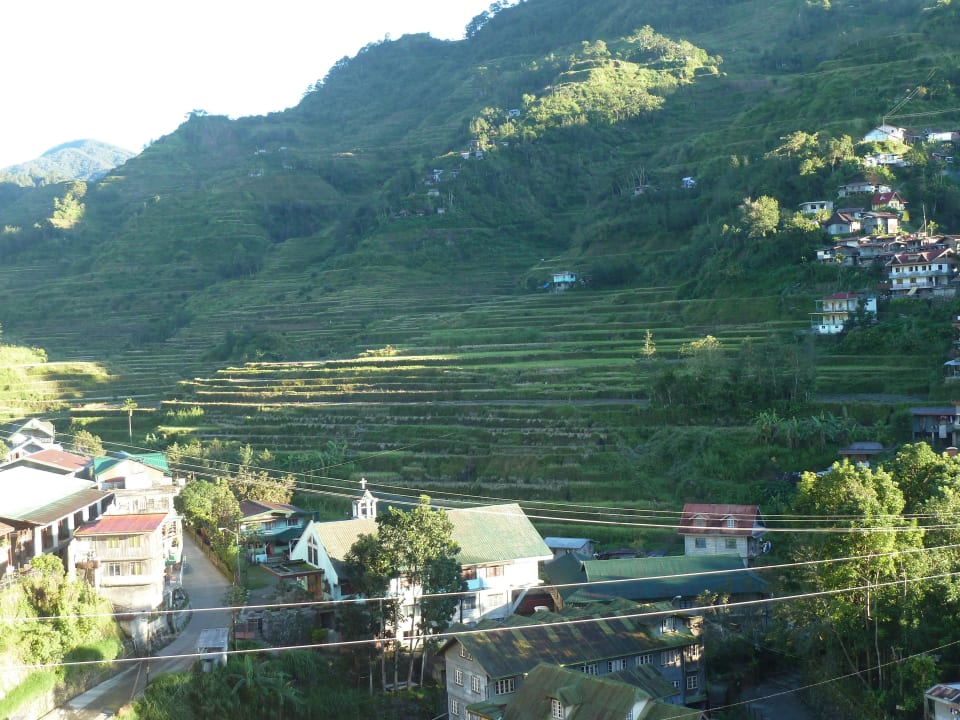 Blick zu den Reisfeldern Stairway Lodge