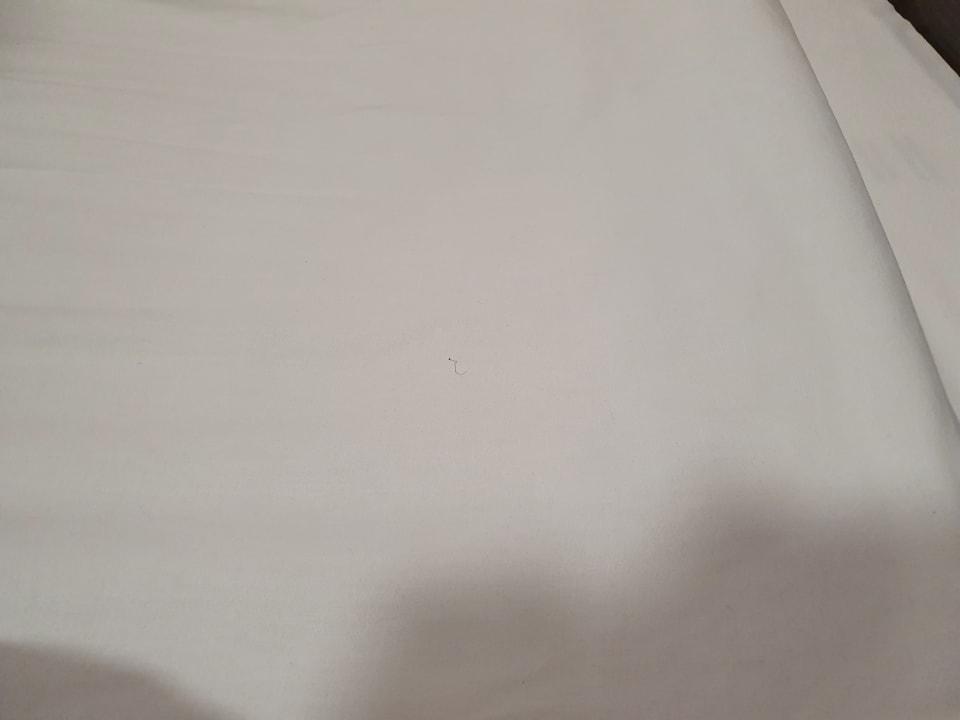 Zimmer Royal Cambridge Hotel