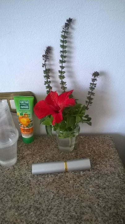 Презент - украшение от рум-сервиса Marlin Inn Azur Resort