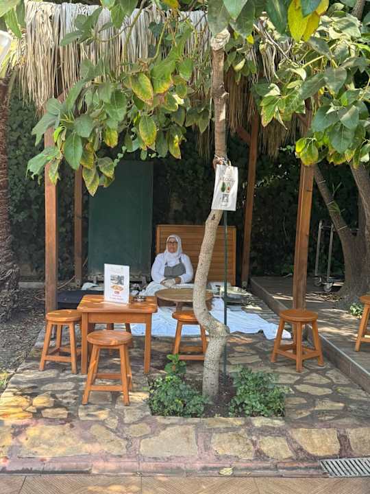 Gartenanlage Telatiye Resort