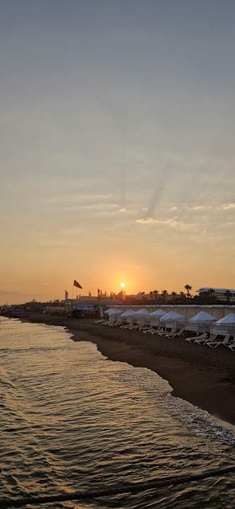 Sonstiges Royal Wings Hotel