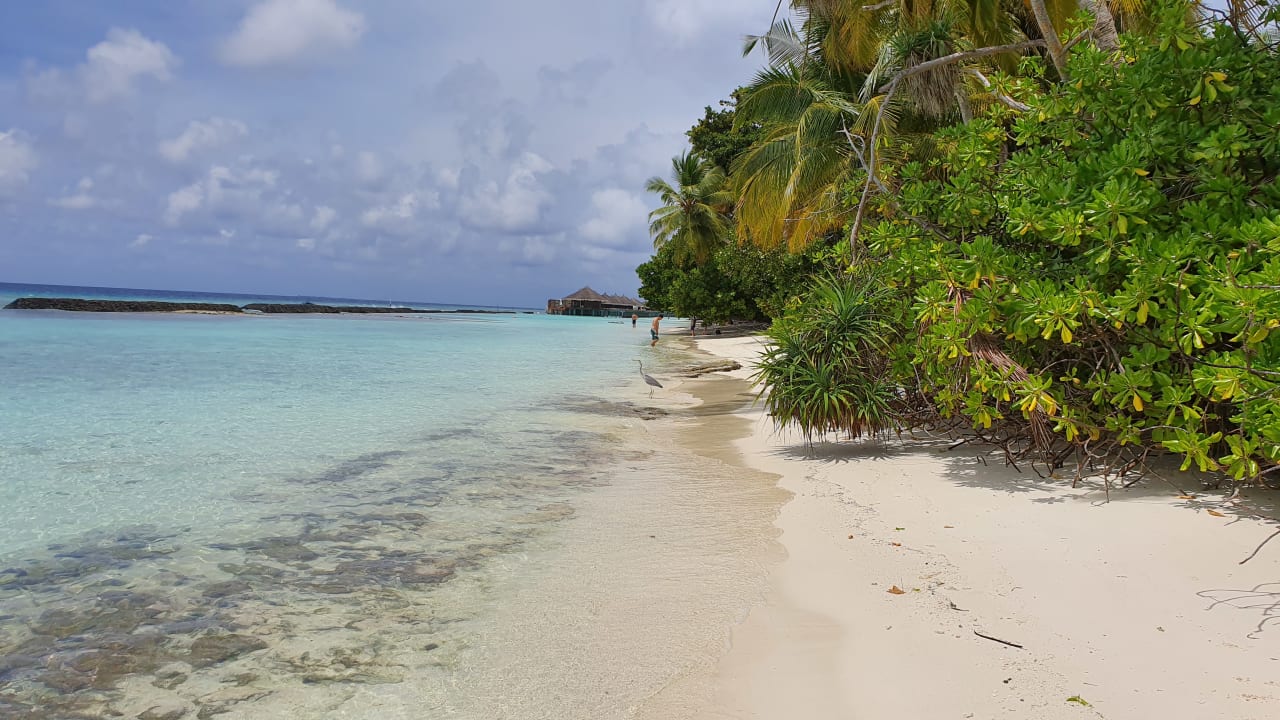 Strand Kuramathi Maldives