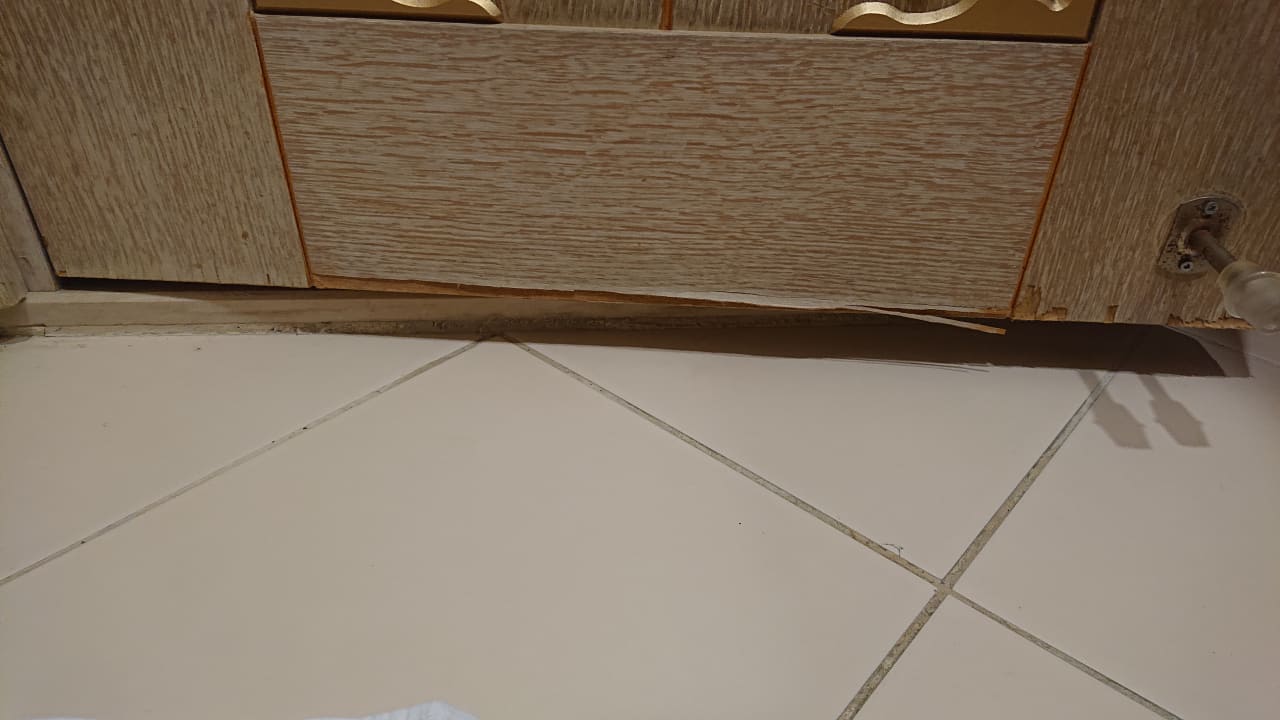 Zimmer Crystal Family Comfort Collection