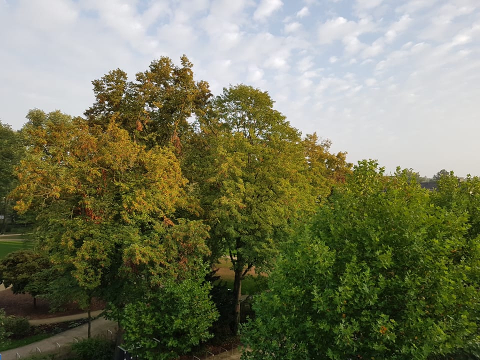 Ausblick Hotel Scherf