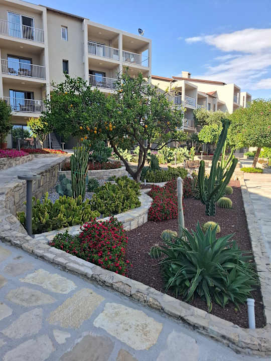 Außenansicht Arum Barut Collection