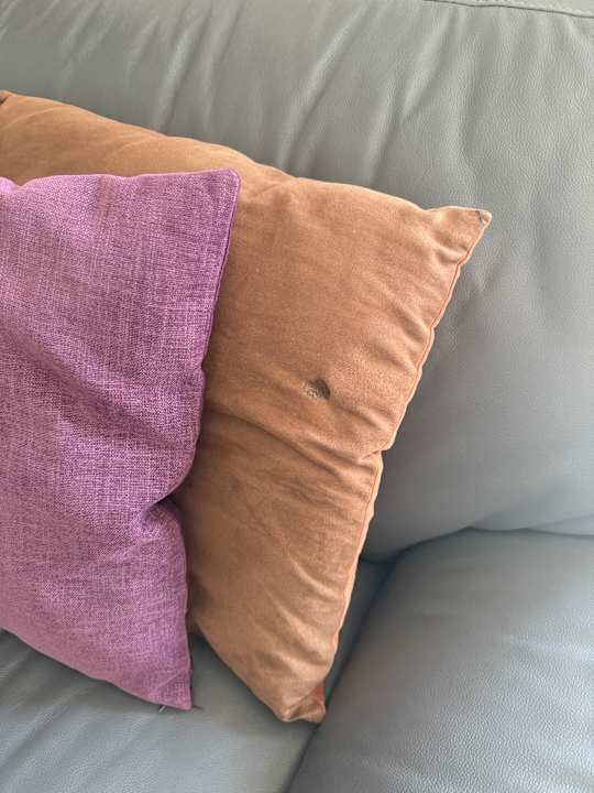 Zimmer Orchid Paradise Homes OPV 213