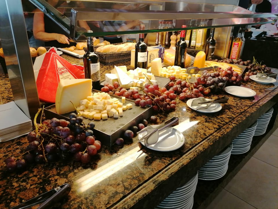 Gastro Protur Vista Badia Aparthotel