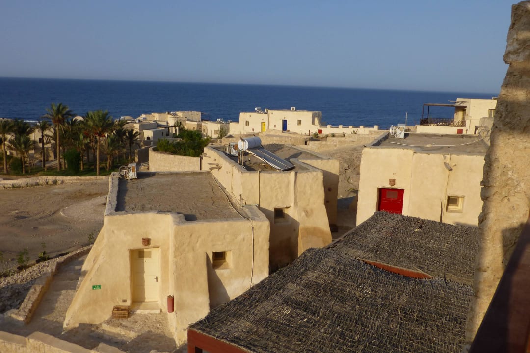 Anlage The Oasis Dive Resort