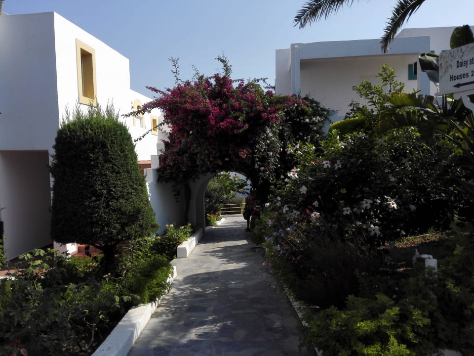 Saubere und gepflegte Aussenanlage Mastichari Bay Hotel