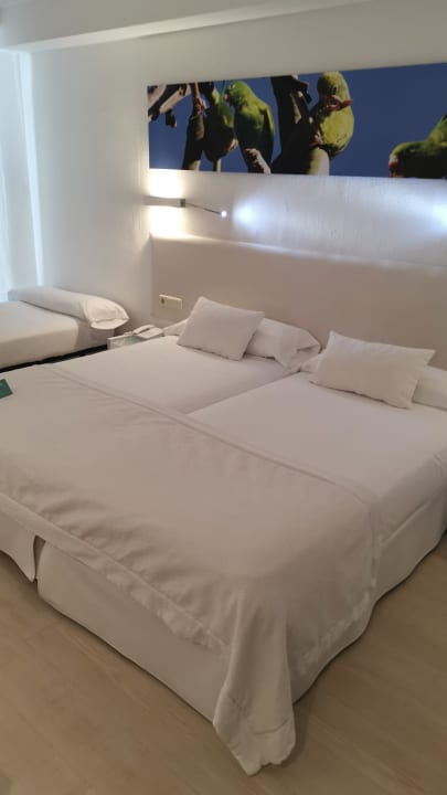 Zimmer Iberostar Waves Bouganville Playa