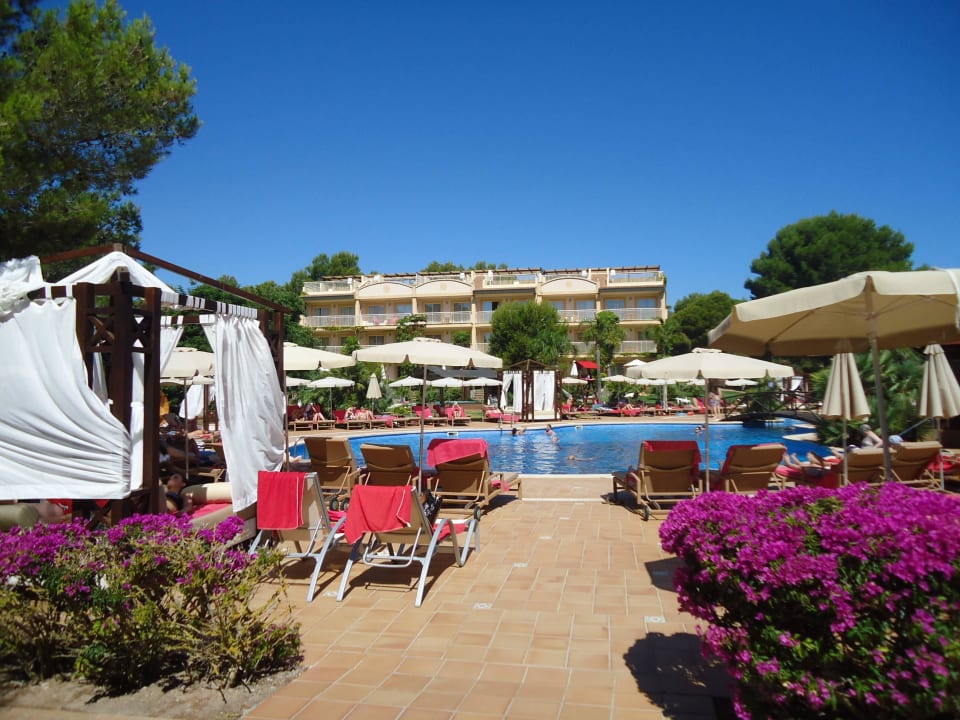 Garten mit viel Blumen VIVA Cala Mesquida Suites & Spa 16+