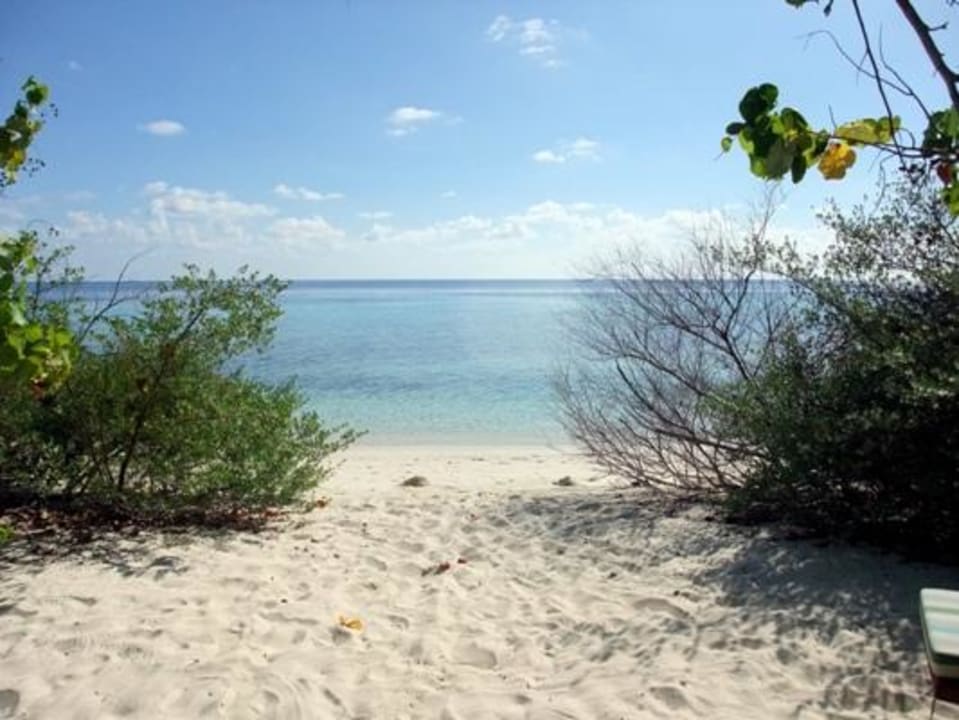 Ausblick auf den Strand Eri Maldives