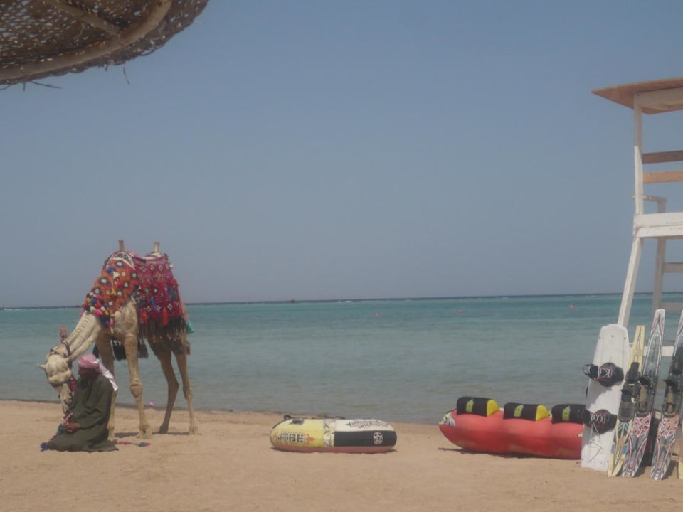 Charli Regency Plaza Aqua Park & Spa