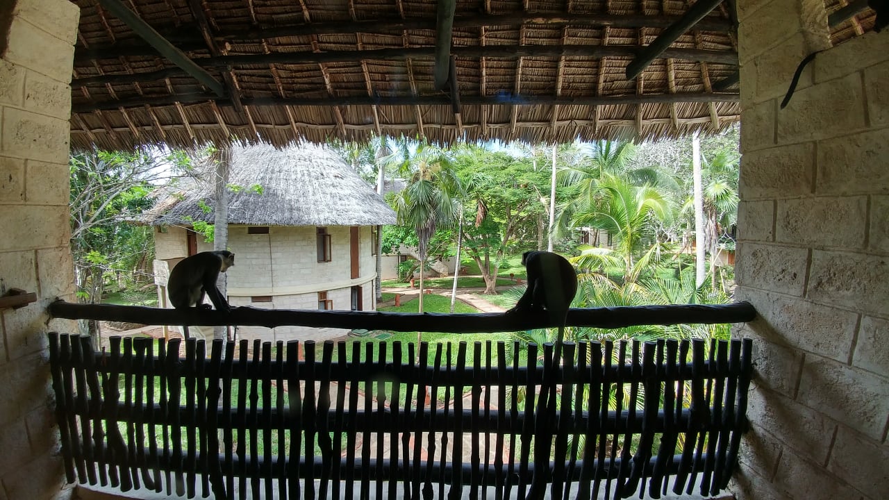 Ausblick Baobab Beach Resort & Spa