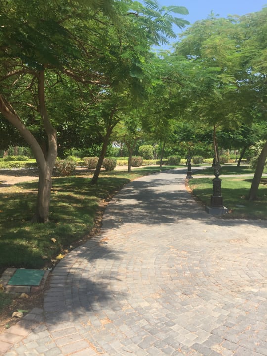 Gartenanlage Steigenberger ALDAU Beach Hotel